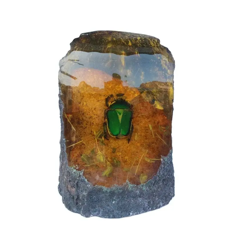 

Янтарный образец, маленькое животное, живое протолитное жук, редкое ископаемое украшение