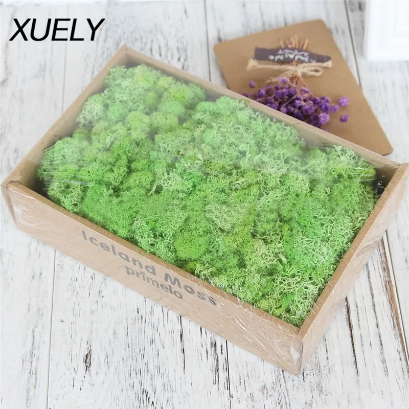 200/500g симулятор мха Grass Garden Home Decor Wall Flower Material Mini микро Ландшафтные аксессуары | Дом