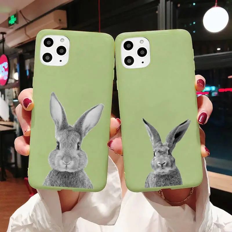 

Cute rabbit animal Phone Case Candy Color for iPhone 6 7 8 11 12 s mini pro X XS XR MAX Plus