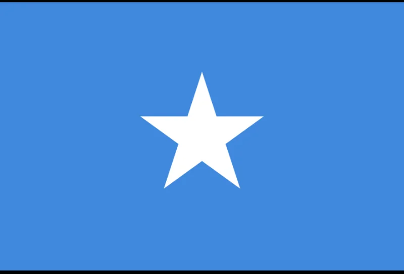 Полный комплект Somalia 50 шиллингов 1991 полный 100 шт. примечания P-R2 UNC оригинал | Дом и