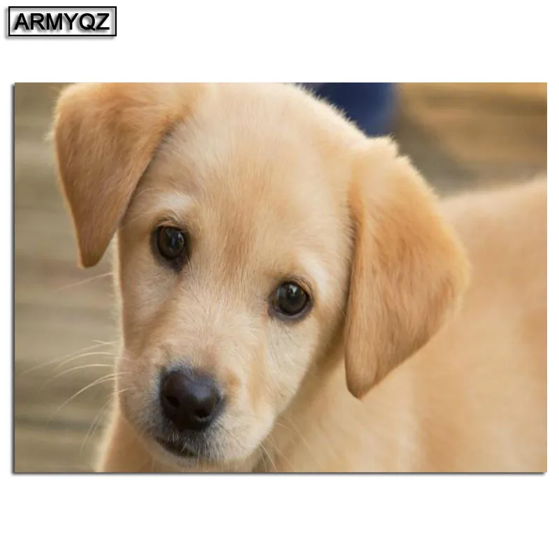 5D DIY Diamond Painting Labrador Dog Cross Stitch Needlework Embroidery Rhinestone painting Full Square mosaic Decor | Дом и сад