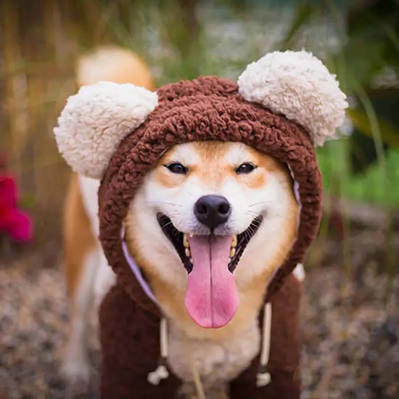 Одежда для собак большого размера одежда золотого ретривера толстовка с