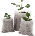 100 шт., экологически чистые вентилируемые пакеты для выращивания растений в саду