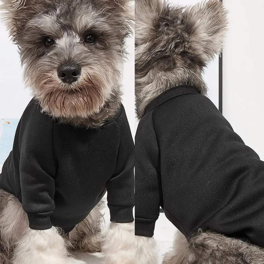 

Pet Shirt Soft Pet Supplies Round Neck Pet Spring Two-legged Coat for Daily Wear Pet Sweater Pet Shirt