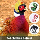 3 шт. курица шлем ошейник для маленьких животных, Безопасность велосипедные шлемы защиты во главе с курицей игрушечный шлем для цыплят кур-несушек ASD88