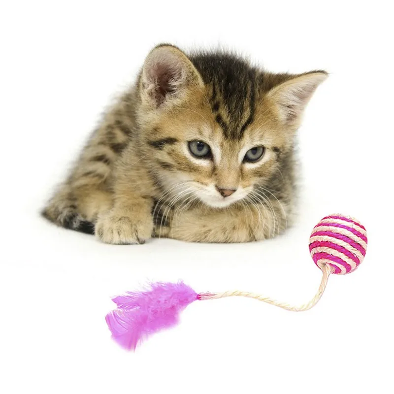 

Pet Cat Sisal Ball Toy With Feather For Cats Dog Chase Capture Chew Relieve Boredom Self-Entertainment Funny Cat Accessories