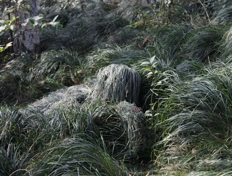 Универсальные камуфляжные охотничьи костюмы Ghillie с объемным рисунком
