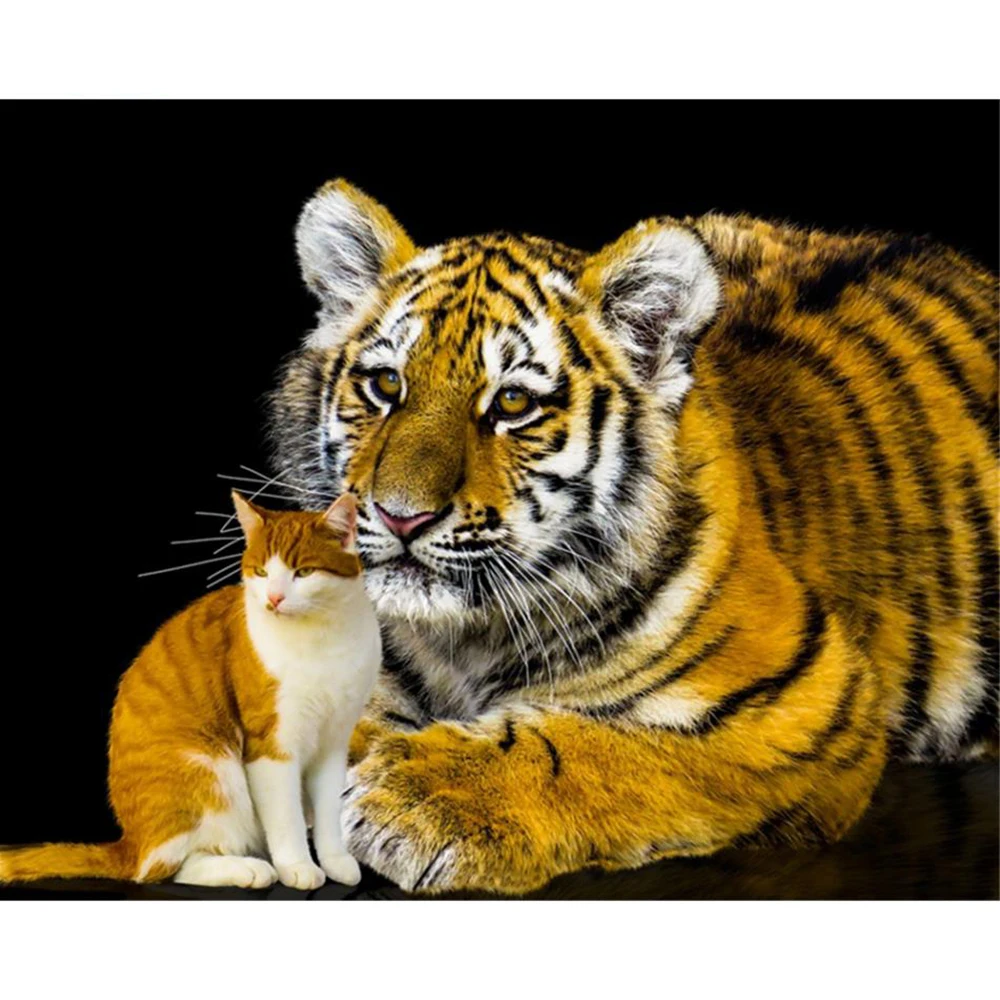 

KAMY YI DIY 5D живопись маслом по номерам тигр животные наборы домашний декор картины по номеру Кот рисунок на холсте Ручная роспись искусство по...