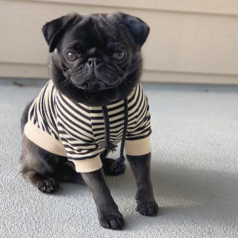 Одежда для домашних животных Французский бульдог полосатая футболка собак