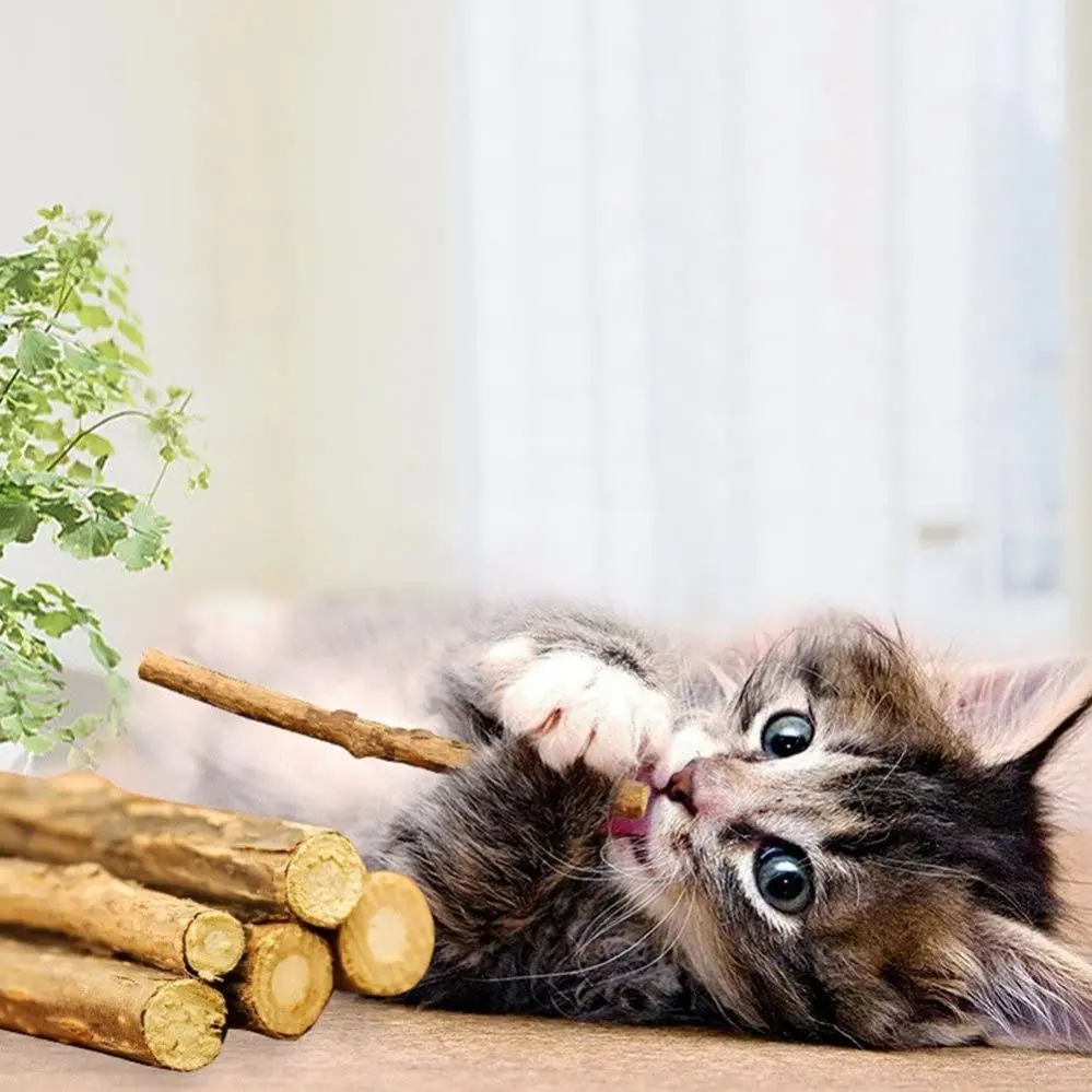 

Cat Chew Toys Food Happy Silvervine Sticks For Kitty Natural Catnip Matatabi Teeth Molar Kitten Organic Dental Treats Grinding