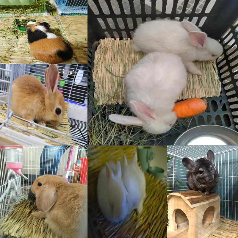 Жевательный коврик для кроликов травы мелких животных хомяков морских свинок