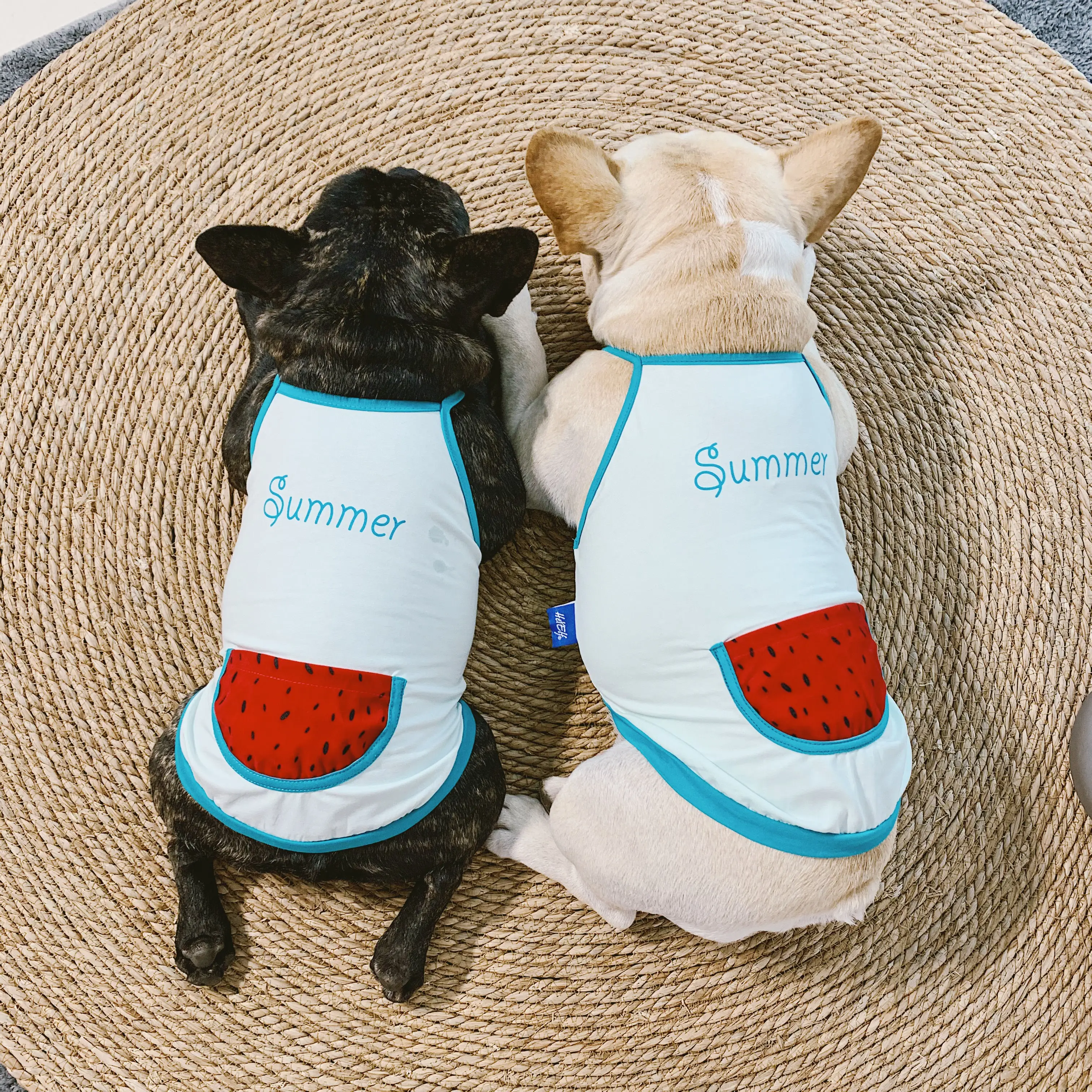 Платье французского бульдога летняя одежда для домашних животных мопса юбка