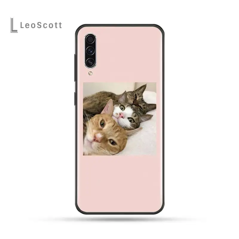 

Aesthetic Cute Animal Cat Phone Cases For Samsung Galaxy M10 20 30 A 40 50 70 71 6S A2 A6 A9 2018 J7 CORE PLUS STAR S10 5G C8
