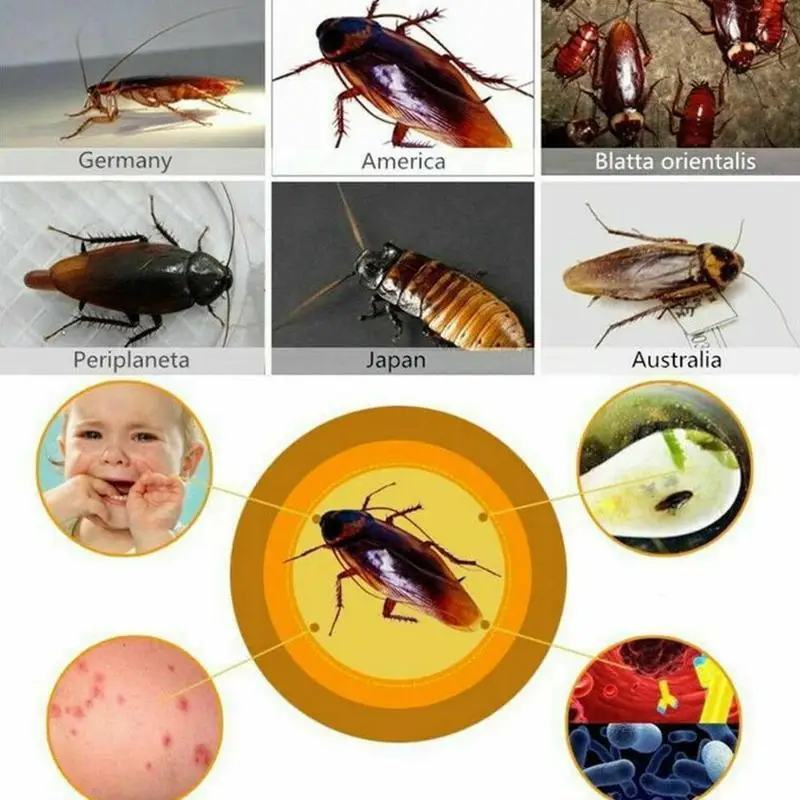 Инсектицид тараканов убийца жуков порошок микротоксичный репеллент приманка яд