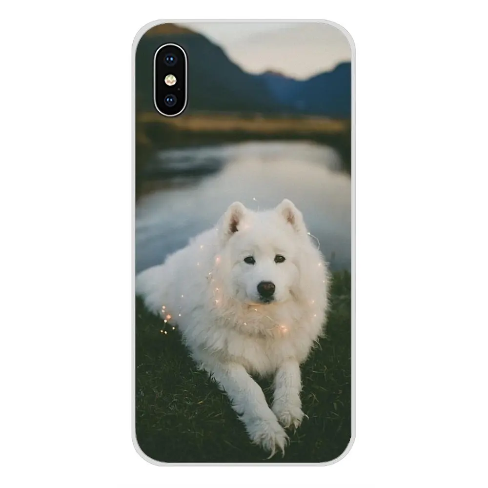 Белый самоед собака прекрасный прозрачный чехол из термополиуретана с Чехлы для