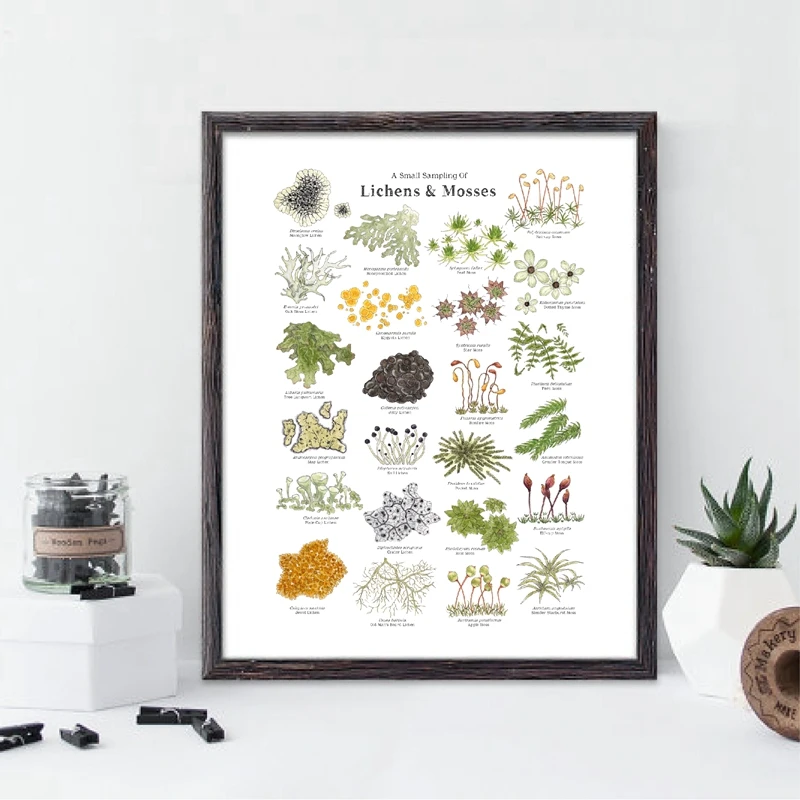 Настенная картина Картина на холсте рисунок леса лишайки мхи природа Фотофон для