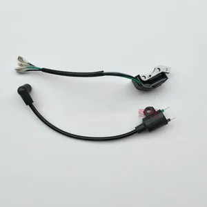 ET950 ET650 IE45 TG950 интегрированная магнитная катушка зажигания, зажигатель для генератора TIGER 450 Вт 650 Вт 800 Вт 950 Вт 1000 Вт, 2-тактный