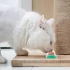 Кошка сахар мяч кошка закуски конфеты чулки однотонный питание кошка лечит энергии мяч игрушка с натуральная кошачья мята и присоски для домашних животных постав