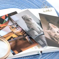 30pcs cat photos style card as party invitation diy decoration gift card message card postcard