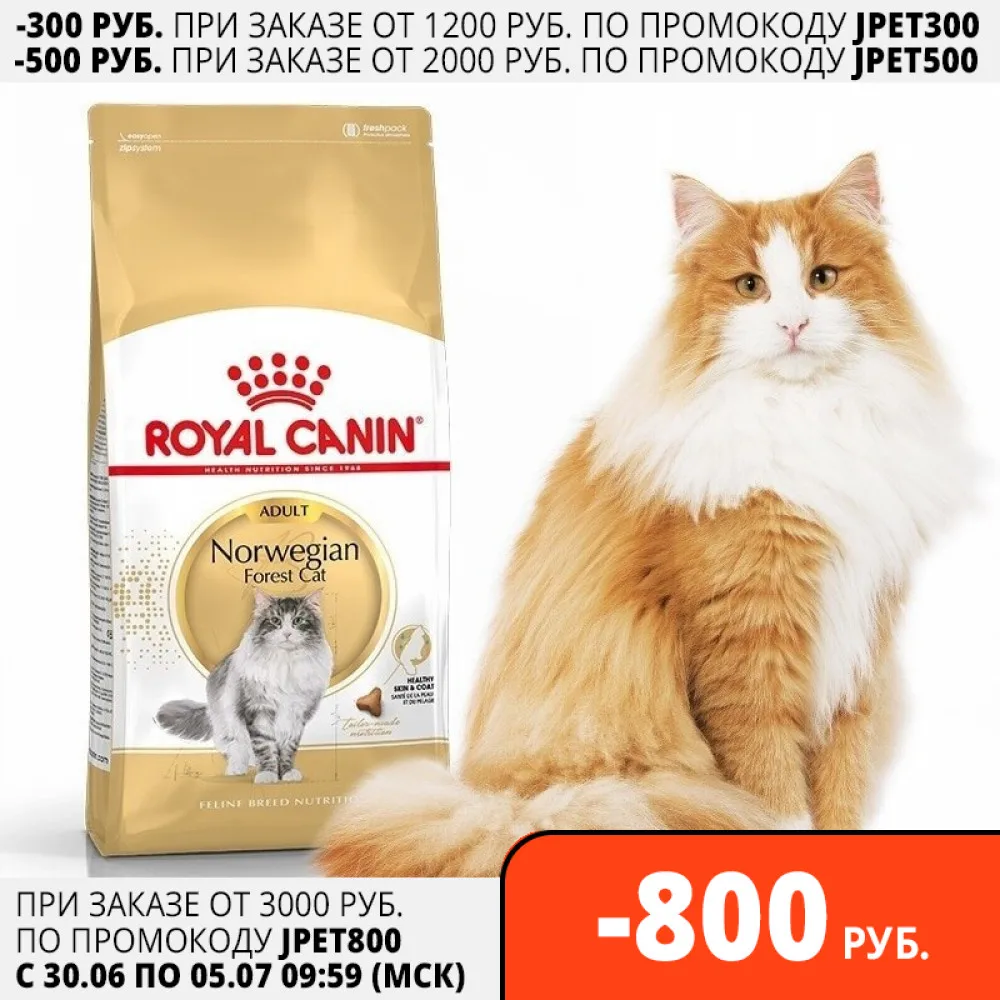 Royal Canin Norwegian Forest Adult корм для кошек норвежская лесная 2 кг|Кошачий сухой корм| |