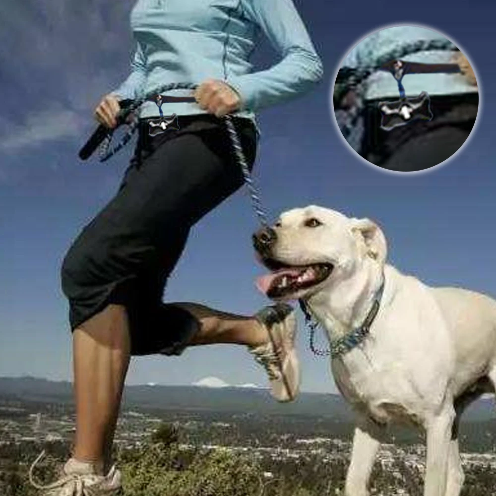 

40 PCS Bone Shape Box 2000 Rolls Garbage Bag Dog Poop Bag Pet Outdoor Garbage Bags Carrier for Pet