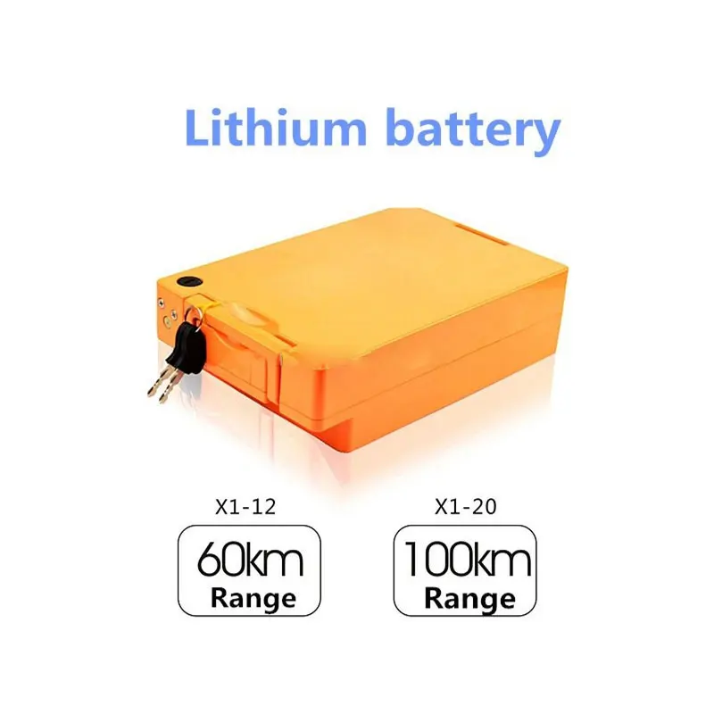 

60V 2000W Removable Battery Citycoco Brushless Electric Bicycle Transported Adult 2 Seats With Fat Tire
