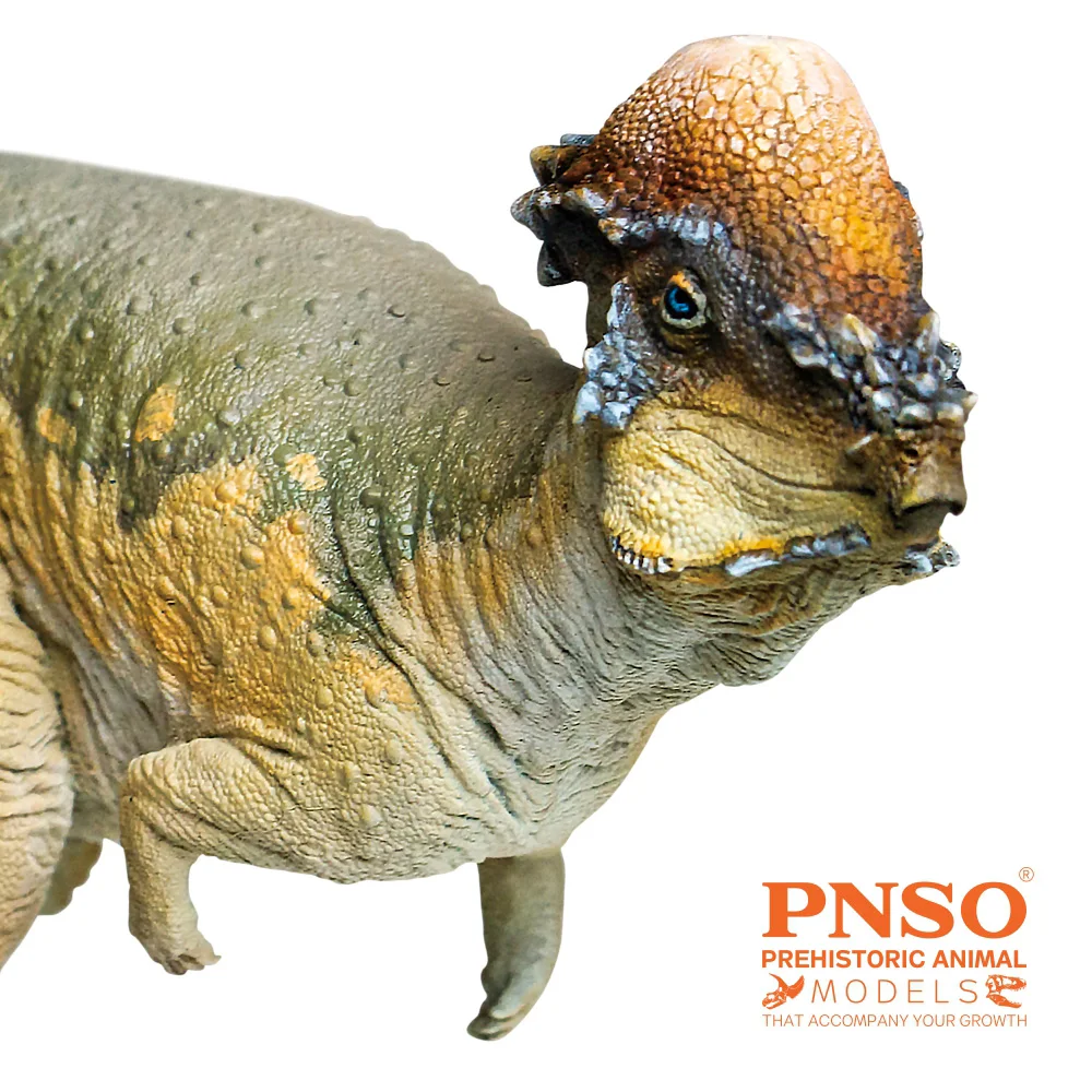 PNSO-dinosaurio prehistorico, modelos: 46, Austin, el paquicefalosaurio-1