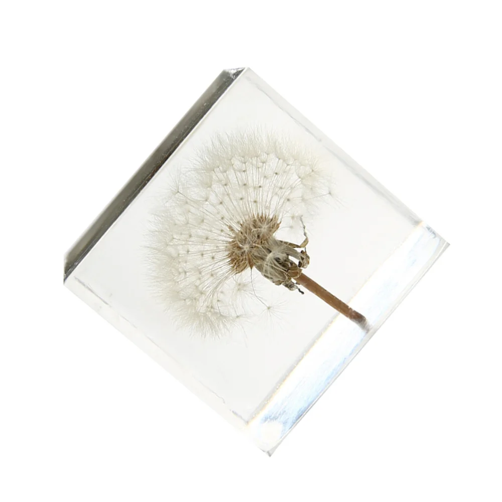 

Cube Desktop Decoration Creative Dandelion Transparent Craft Adornment Gift for Home Office