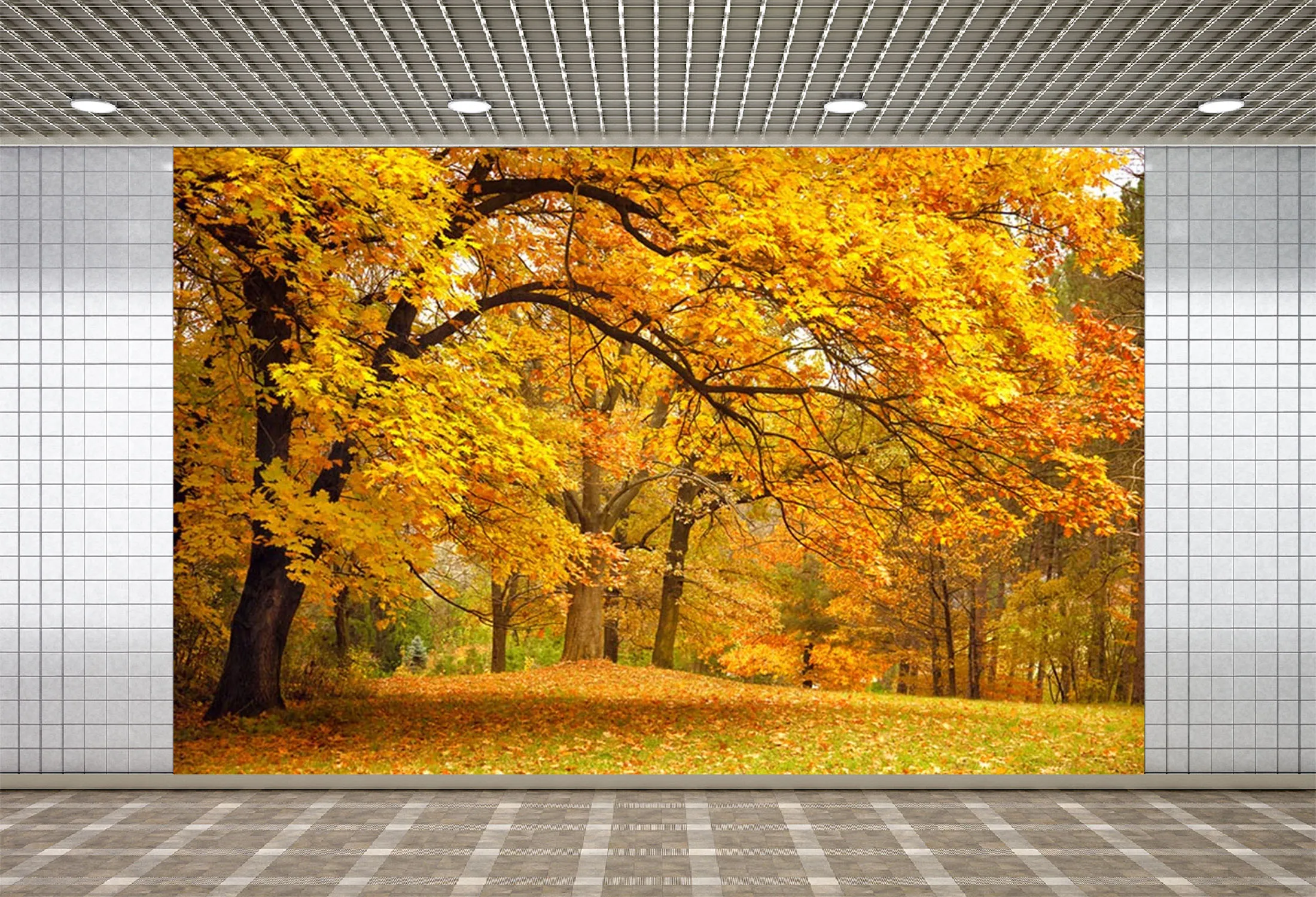 

Lyavshi фотографии Фоны Осень Желтый ЛЕС ДЕРЕВЬЯ дорога Scenic в стиле вечеринки в честь Дня Рождения Декор фотосессия Фотостудия