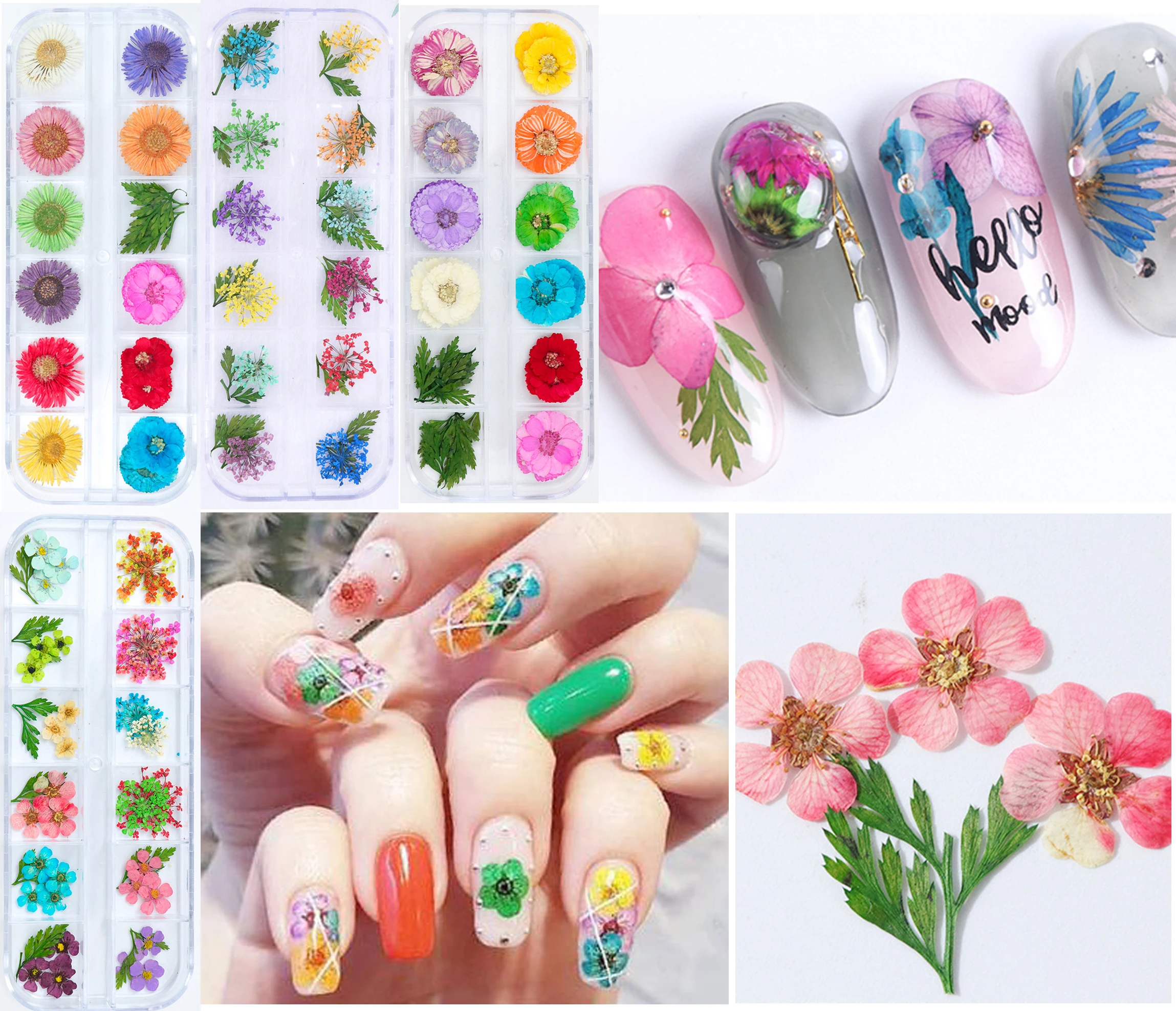 

1 Box Nail Art Dry Flower Deco Nail Art Decoration Dry flower Series, 4 styles dried flowers