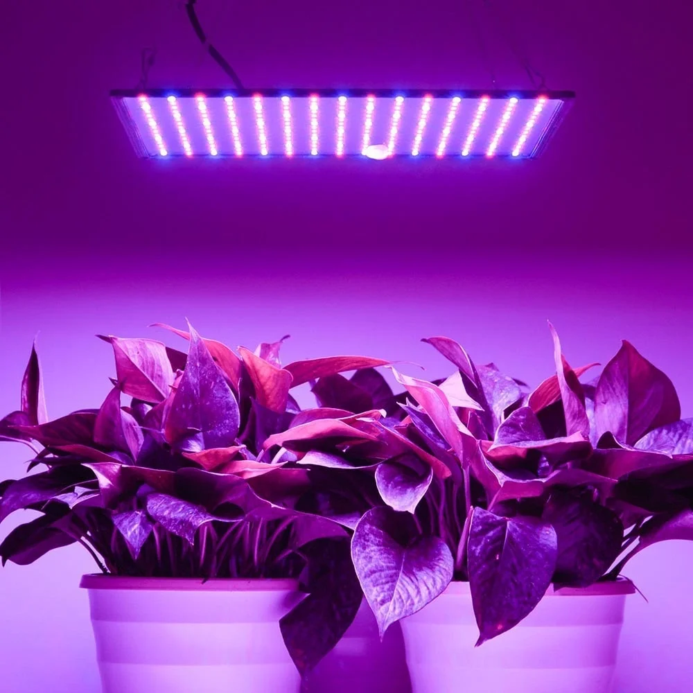 Фитолампа для растений 1000 Вт полный спектр|Промышленные LED-лампы| |