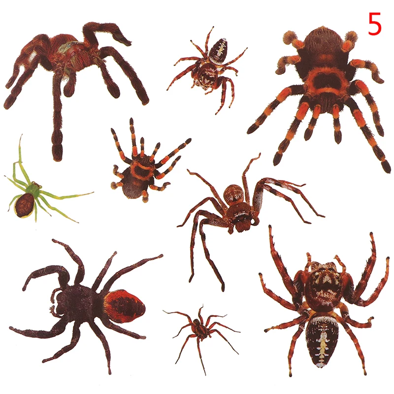 1/5pcs 3D Spider Halloween Tattoo Water Transfer Flash Tatoo Fake Tattoo Waterproof Temporary Tattoo Sticker For Men Women