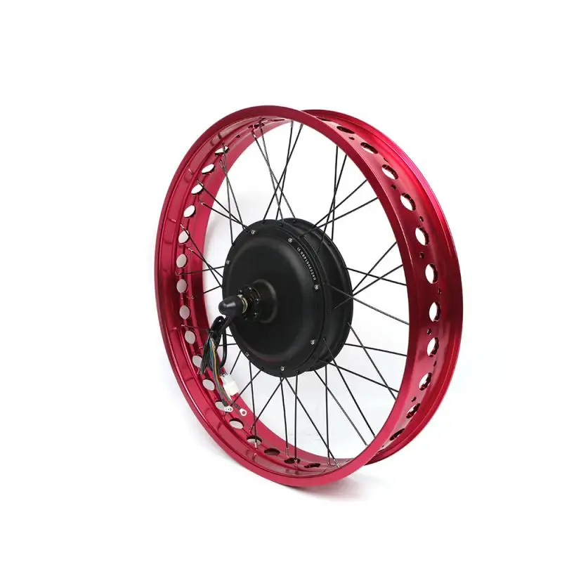 Verkauf Hinten Fett Ebike Kit,20