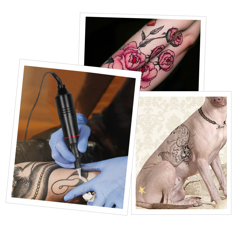

Tattoo Machine Set Kit Rotary Gun PMU Complete Tattoo Rotary Pen Professional Tattoo PMU Pen Set for Tattoo Body Tattoo Power