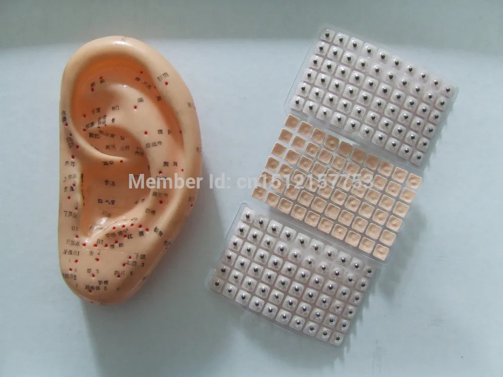 300 шт Семена ваккарии акупунктурный массаж ушной иглы патч раковины