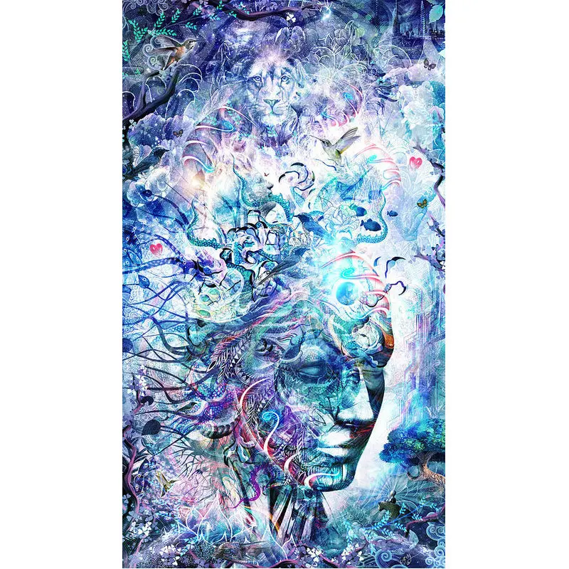 

5d Diamond Painting animal Full Drill Embroidery Abstract woman Picture Of Rhinestones Home Decor Wall Art Needlework Gift