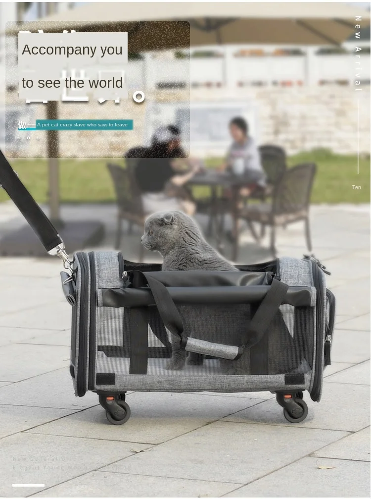 Breathable Collapsible Pet Cart Universal Wheel Portable Bag Out Travel Dog Cat Cage | Дом и сад