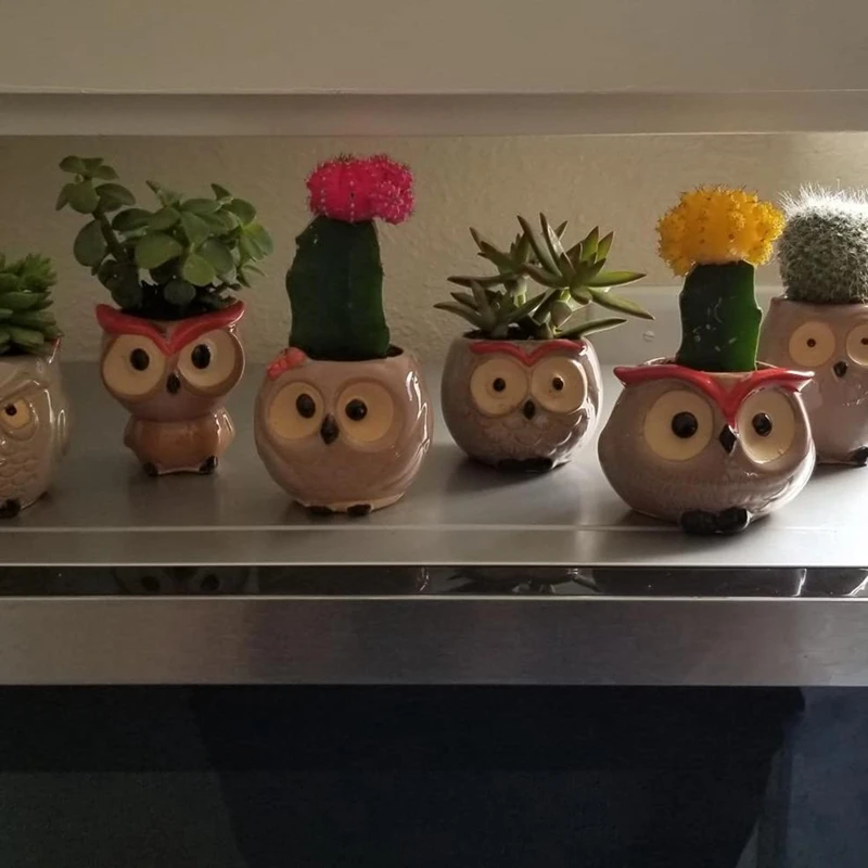 6 шт. керамические горшки для растений совы | Дом и сад