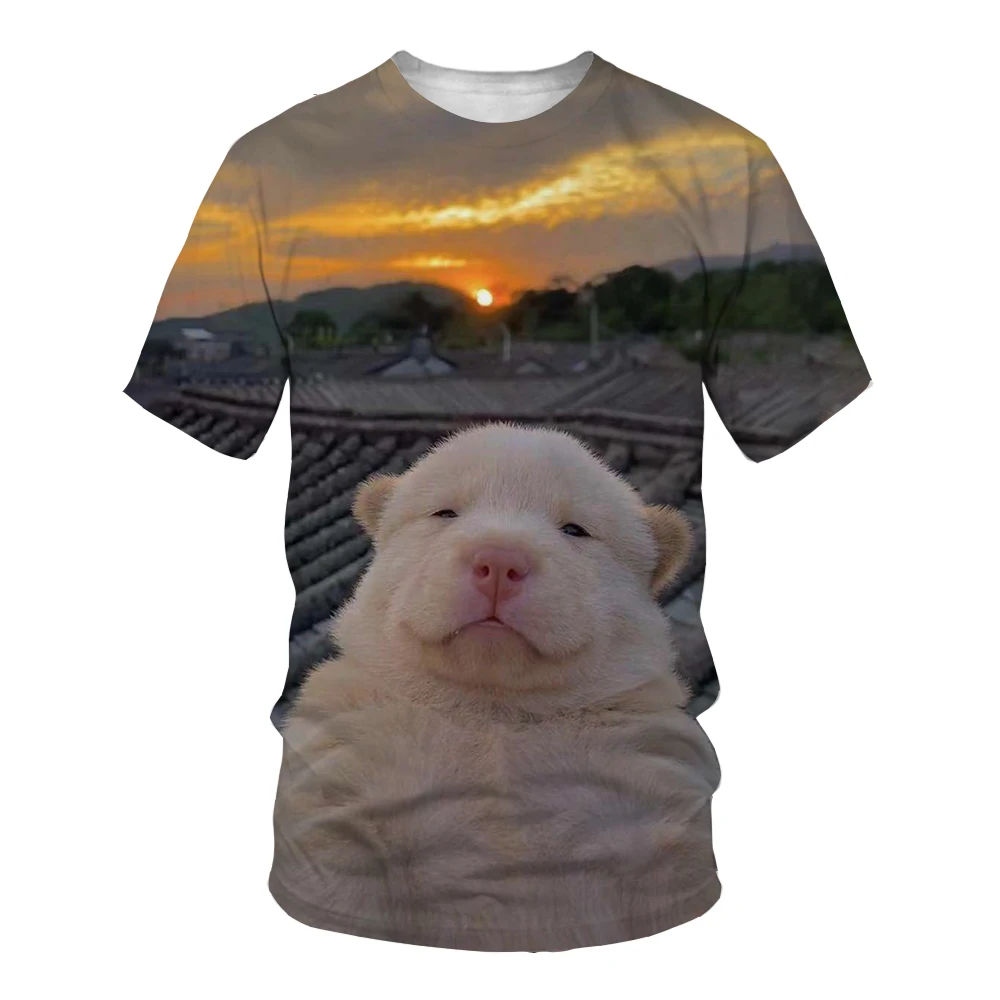 

2021 New Fashion Summer Men's T-Shirt 3D Digital Printing Round Neck Short Sleeve Funny Dog Puppy Casual T-Shirt 110-6XL
