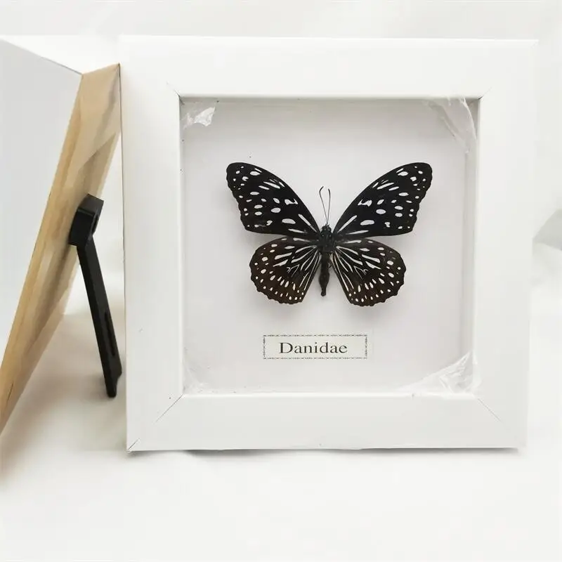 Fixed Spread Wings Real Butterfly Specimens Photo Frame Indoor Decoration Home Decorations Insect Sample Figurines Pendulum | Дом и сад