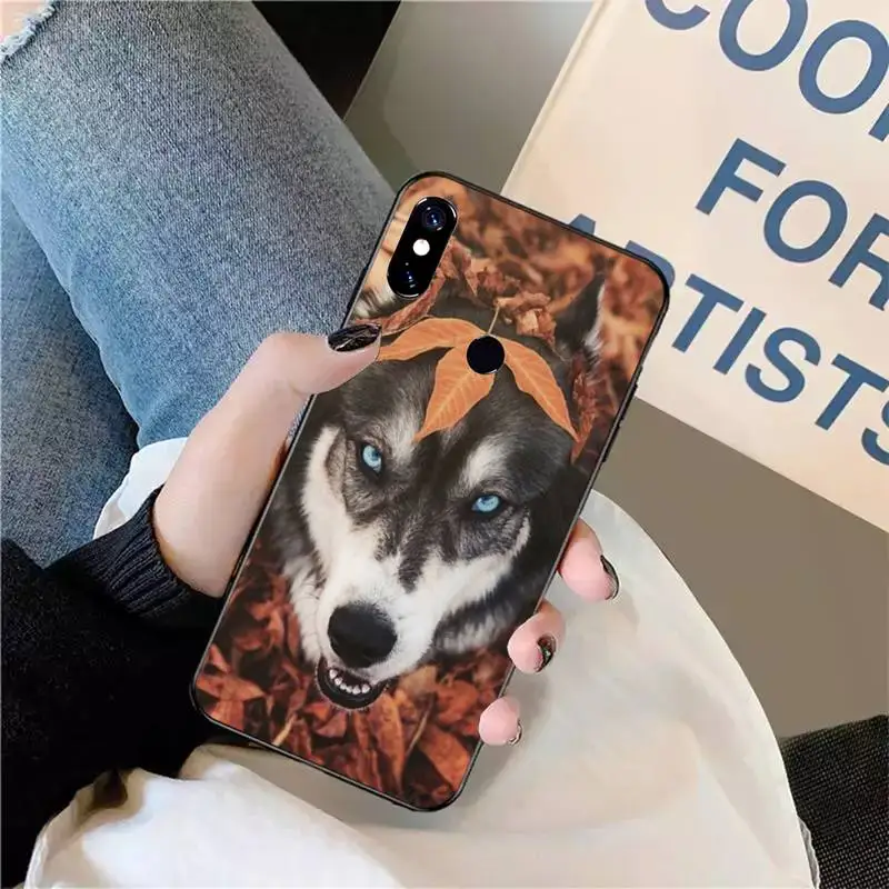 

husky cute funny dog animal Phone Case For Xiaomi Redmi note 7 8 9 t max3 s 10 pro lite coque funda shell cover