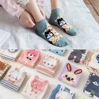 5 pairs of cute bears funny cats dogs rabbits cartoon animal patterns womens socks summer fashion wild trendy socks