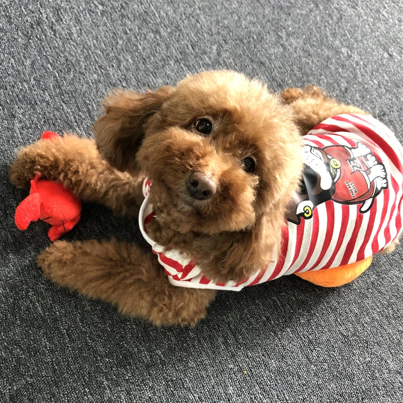 Летняя Весенняя рубашка для домашних животных хлопковая в полоску маленьких и