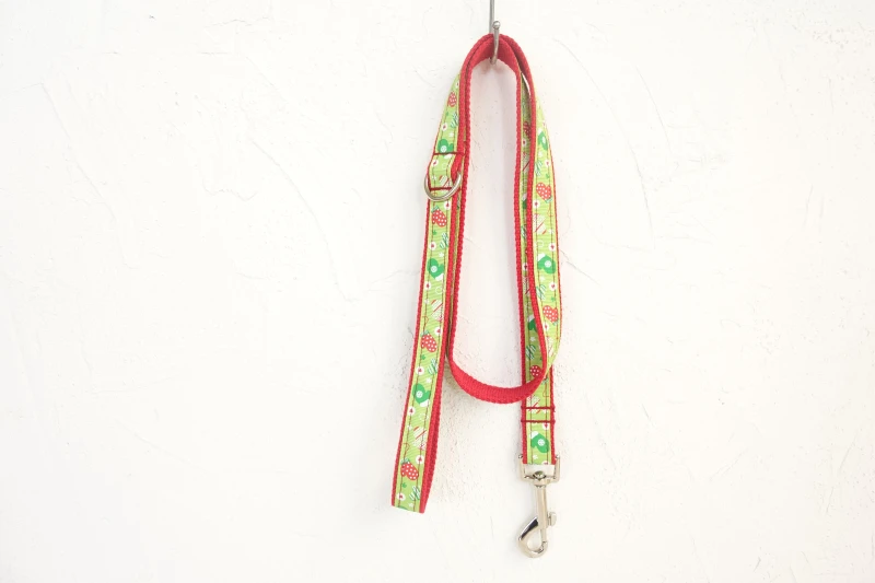 Собачий ошейник с гравировкой на заказ удостоверение личности щенка набор