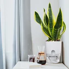 Двухслойный самополивающийся цветочный горшок с резервуаром для воды, домашний и офисный декор, гидропонный цветочный горшок, практичный пластиковый горшок для растений