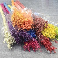 natural preserved dried flowers rich beans marriage wreath colorful nordic home table decor wedding christmas party decoration