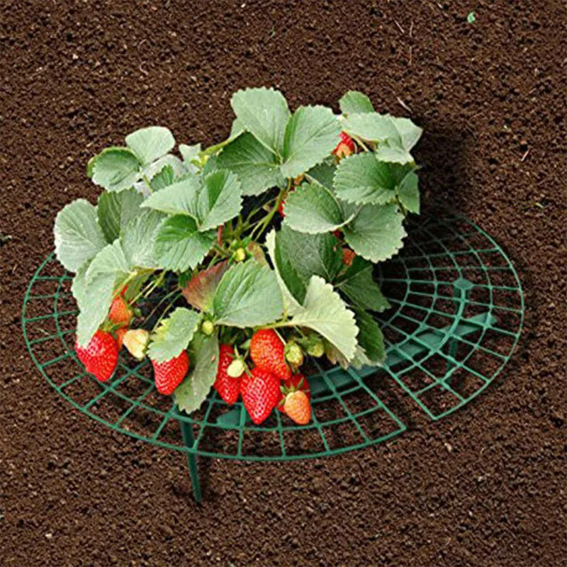 1 Pcs Round Plastic Strawberry Stand Balcony Grow Vegetables Fruit Climbing Pillar Gardening Bracket Plant Cages &amp Supports | Дом и сад