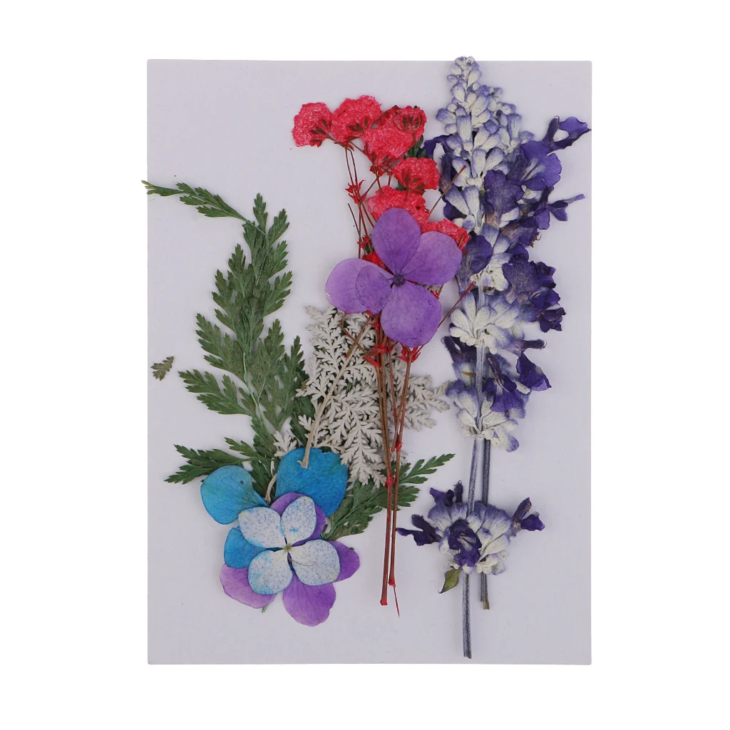 

Multi Pressed/Dried Flower Embellishment Scrapbook Craft Wedding Card Making