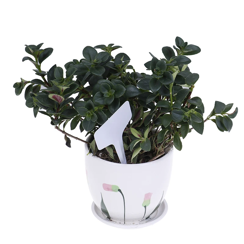 

100 pcs white Plant Markers Garden Bonsai Succulent Seedings Tags Sign PVC Gardening Labels Stake on Soil Paint Sticks
