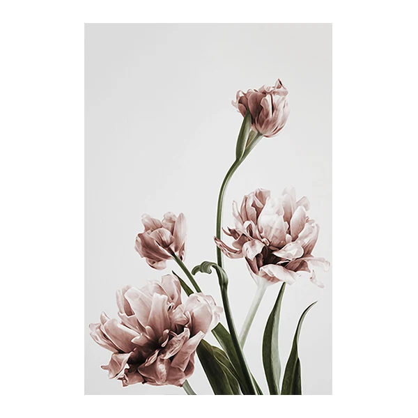 Абстрактный Осенний цветок Природа Пейзаж скандинавский холст плакат печать